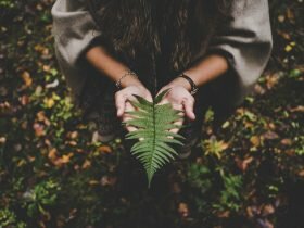 mujer cuidando el medio ambiente